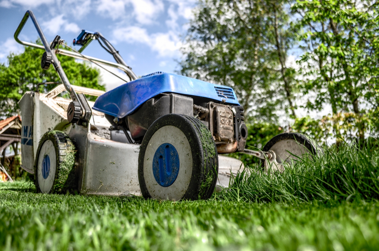 Which Lawn Mower Should I Buy? Lawn Mower Buying Guide 2024